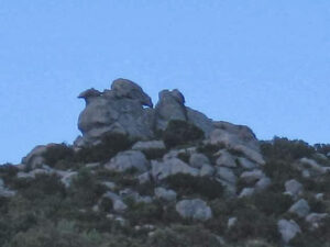 eagle-shaped rock